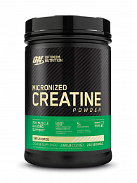 Optimum Nutrition Creatine Powder (1200г.)