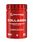 Galvanize Nutrition collagen (300 гр.)