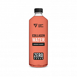 Fitness Food Factory Напиток COLLAGEN WATER (500 мл)